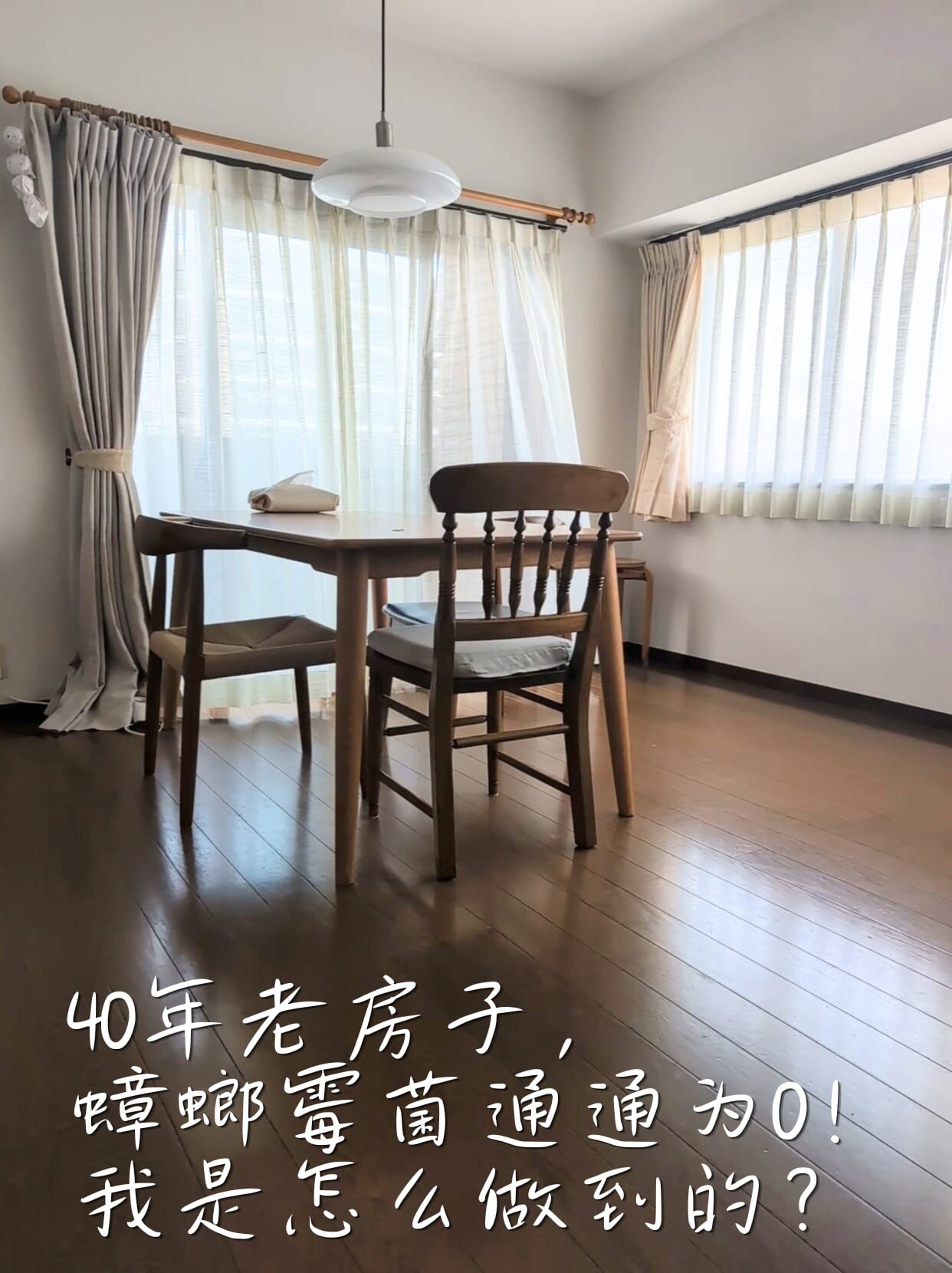 40年老房子，蟑螂霉菌通通为0！我是怎么做到的？