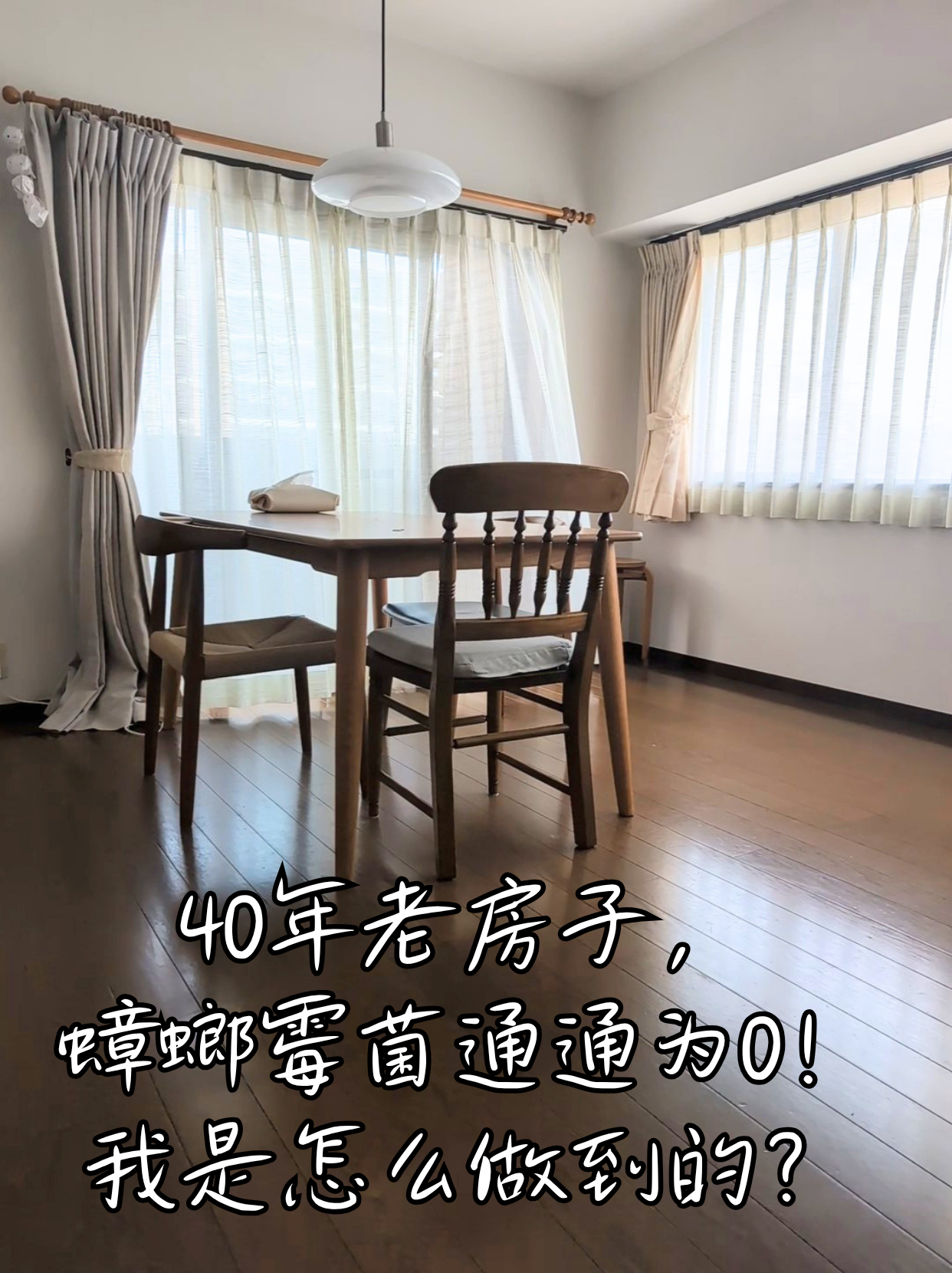 40年老房子,蟑螂霉菌通通为0!我是怎么做到的?
